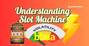 bbaa App Interface